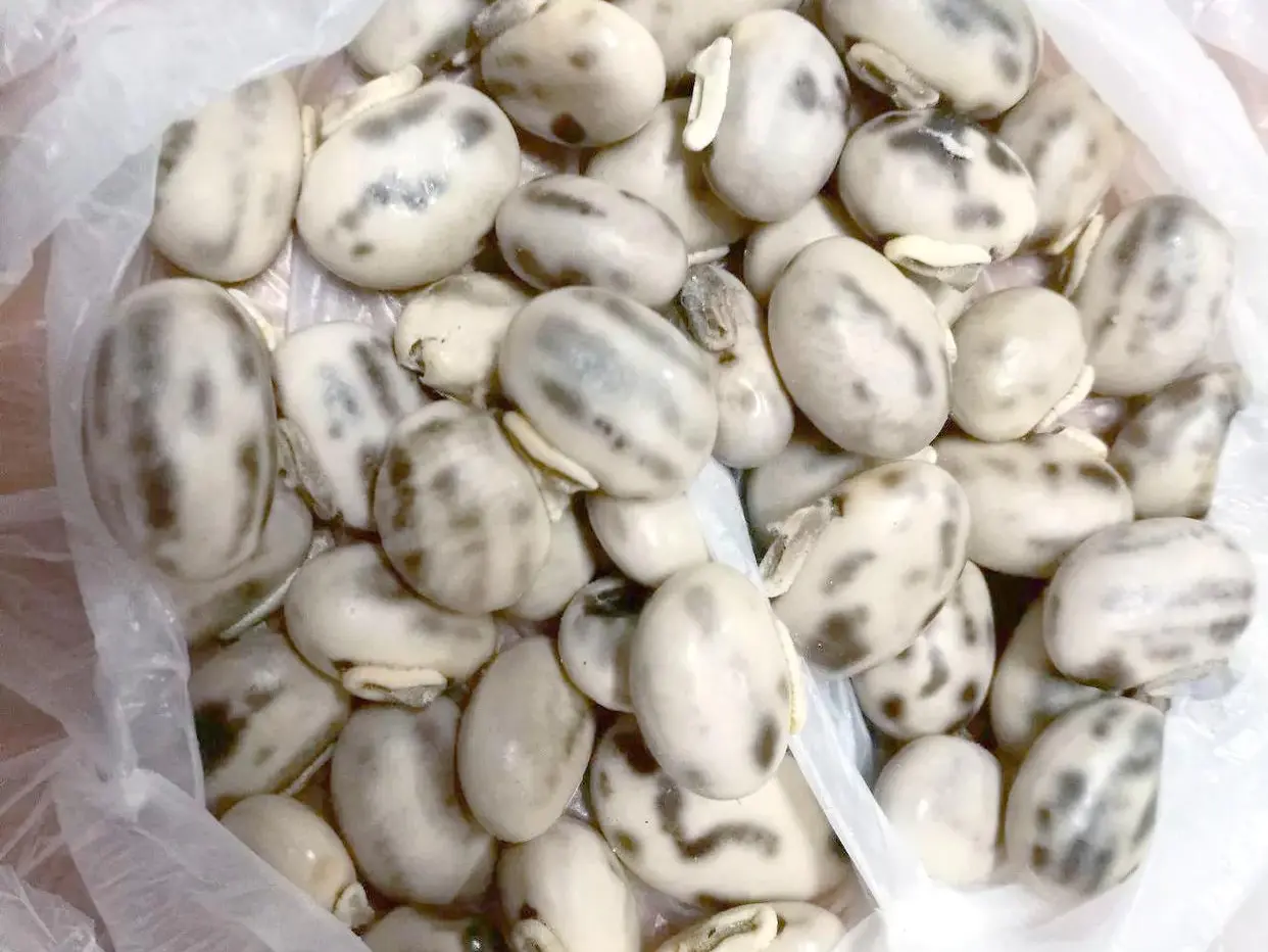Best Mucuna pruriens Extract Manufacturer, Manufacturers