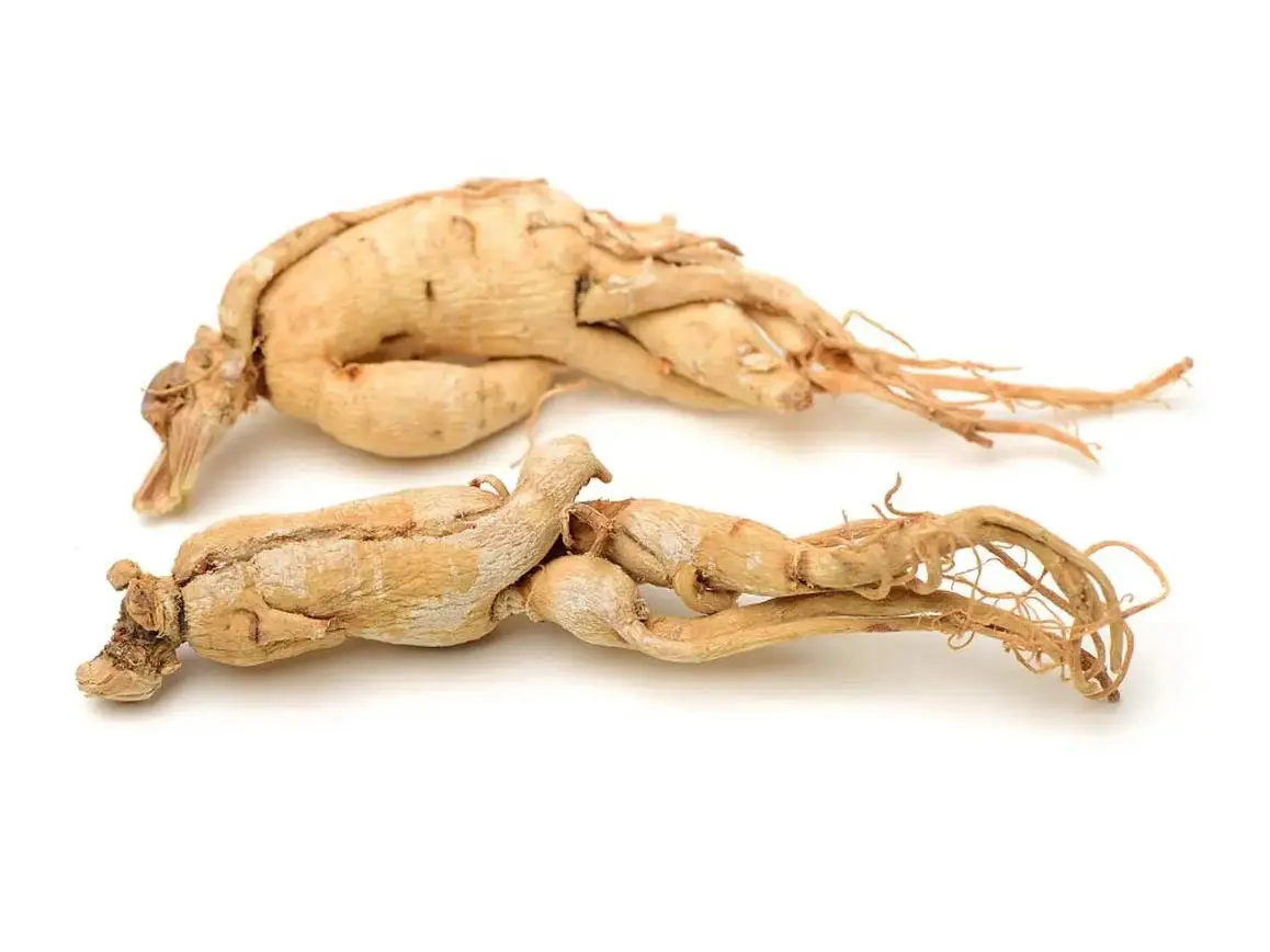 Buy Ginseng leaf extract Pricelist, Quotes