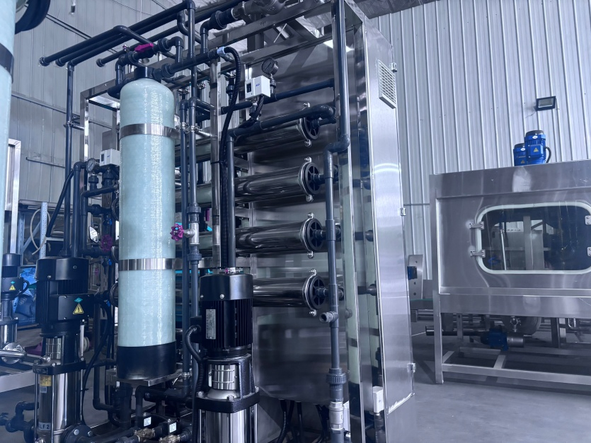 1t 2t Efficient Utrlapure Reverse Osmosis Water RO+EDI Systems High-Quality Electrodialysis Pharmaceutical Water Treatment