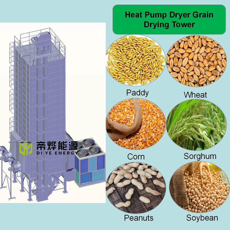 Automatic Control Heat Pump Mesh Belt Dryer System for Paddy Grain Corn Crop Rice Sludge Vegetables Spices
