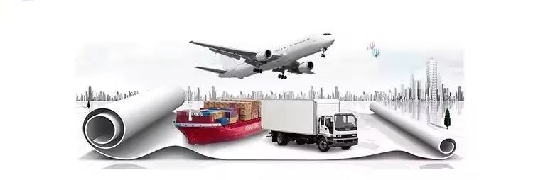 Shipping Logistics
