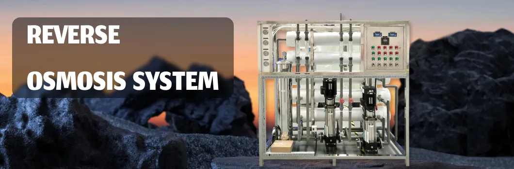 Reverse Osmosis Water Filter System