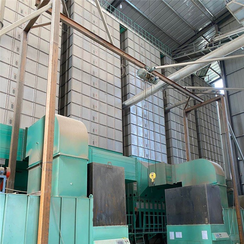 Automatic Control Heat Pump Mesh Belt Dryer System for Paddy Grain Corn Crop Rice Sludge Vegetables Spices