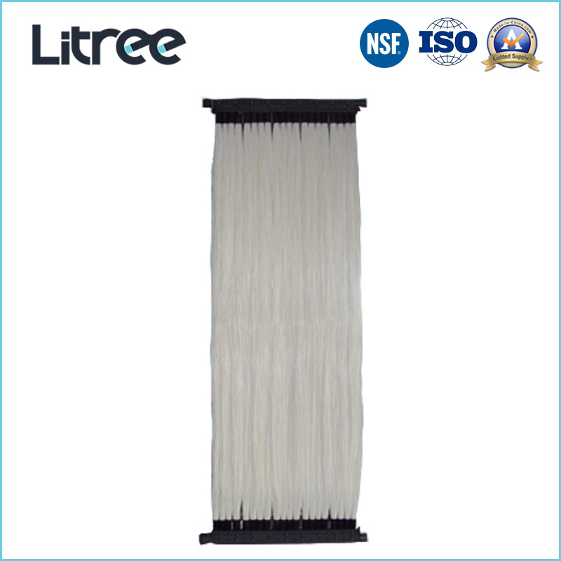 Litree UF Membrane Ultrafiltration Mbr System for Slaughter House Wastewater Treatment Dairy Wastewater Treatment Filtration