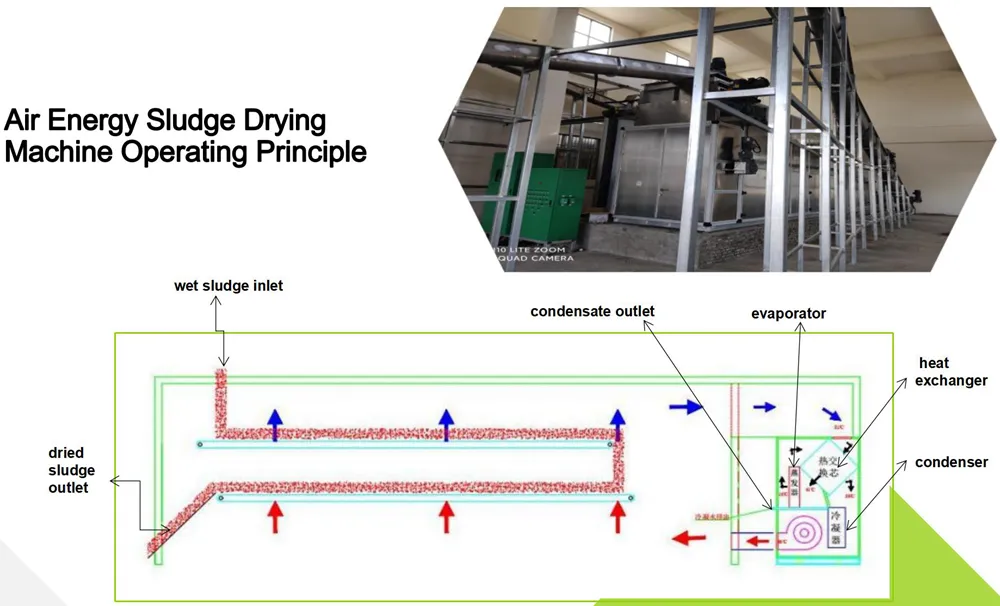 Sludge Drying System