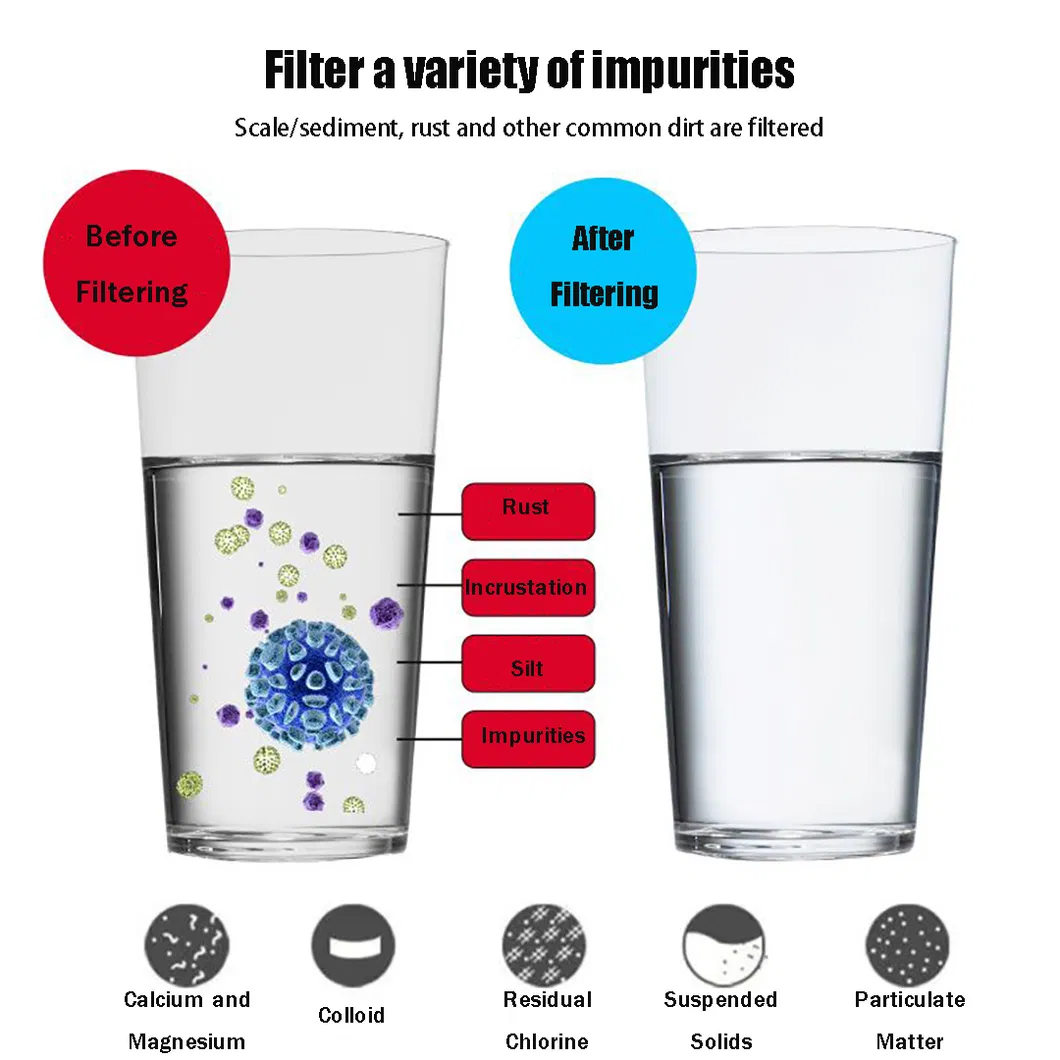 Sterilization process