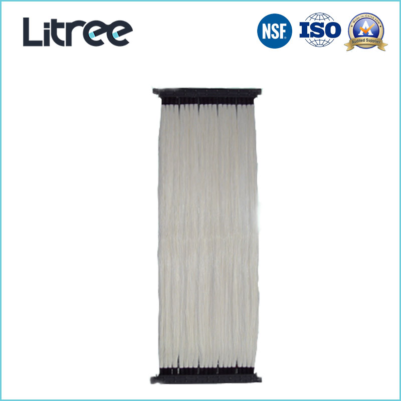 Litree UF Membrane Ultrafiltration Mbr System for Slaughter House Wastewater Treatment Dairy Wastewater Treatment Filtration