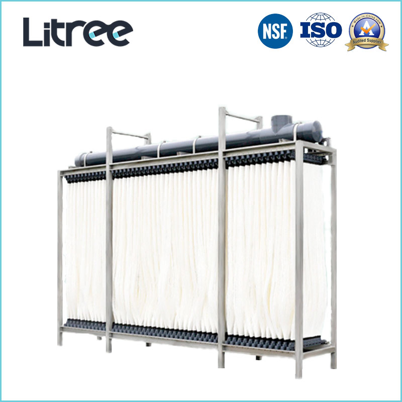 Litree UF Membrane Ultrafiltration Mbr System for Slaughter House Wastewater Treatment Dairy Wastewater Treatment Filtration