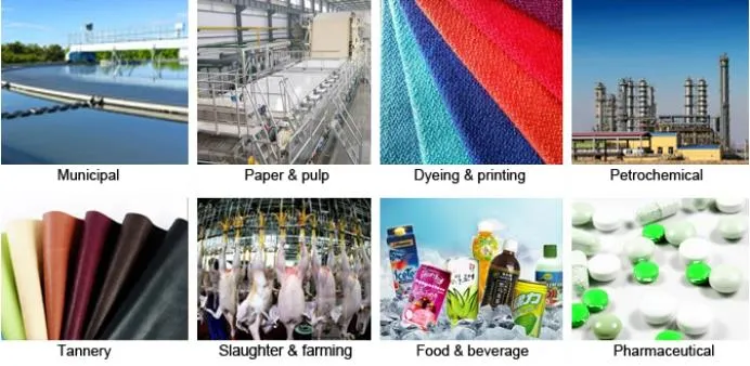 Sludge Dewatering Machine Overview