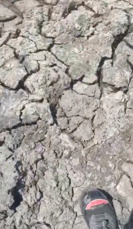 Sludge to Hard Ground Result