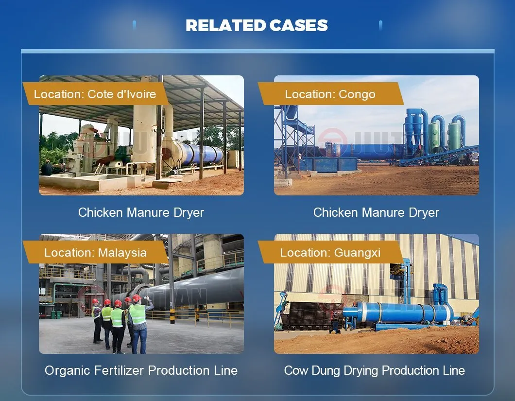 Global Project Cases