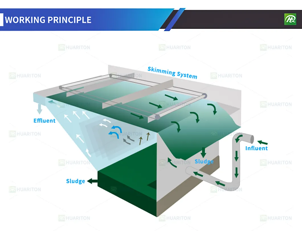 Internal Structure DAF
