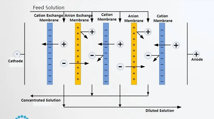 Homogeneous Membrane Electrodialysis