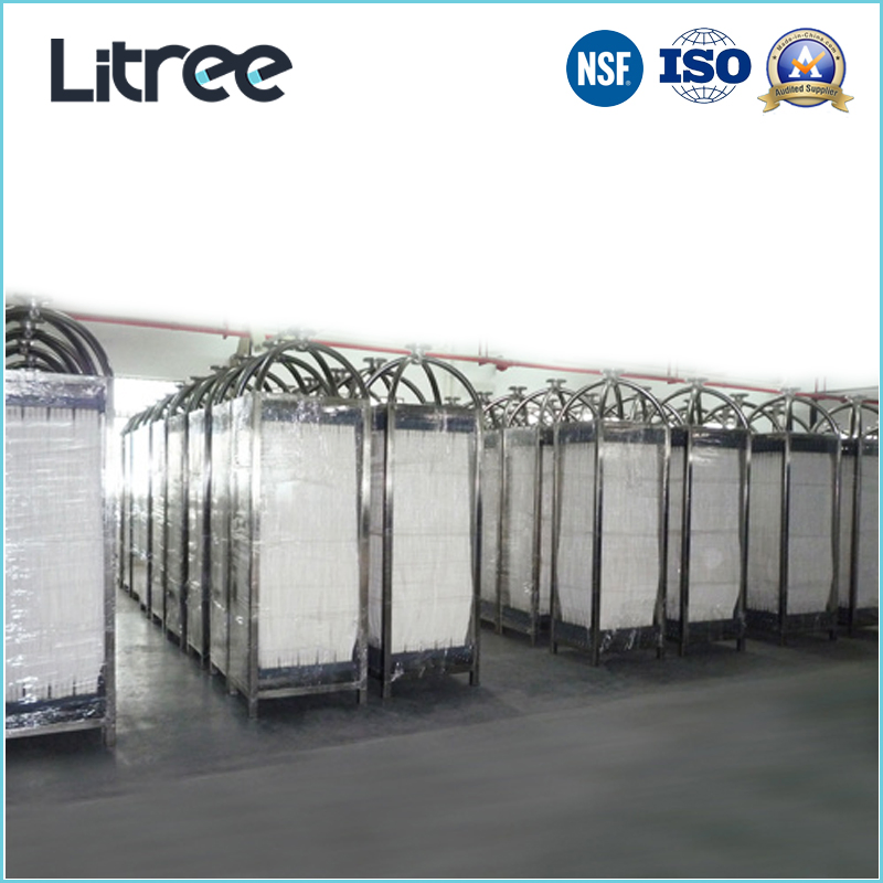 Litree UF Membrane Ultrafiltration Mbr System for Slaughter House Wastewater Treatment Dairy Wastewater Treatment Filtration
