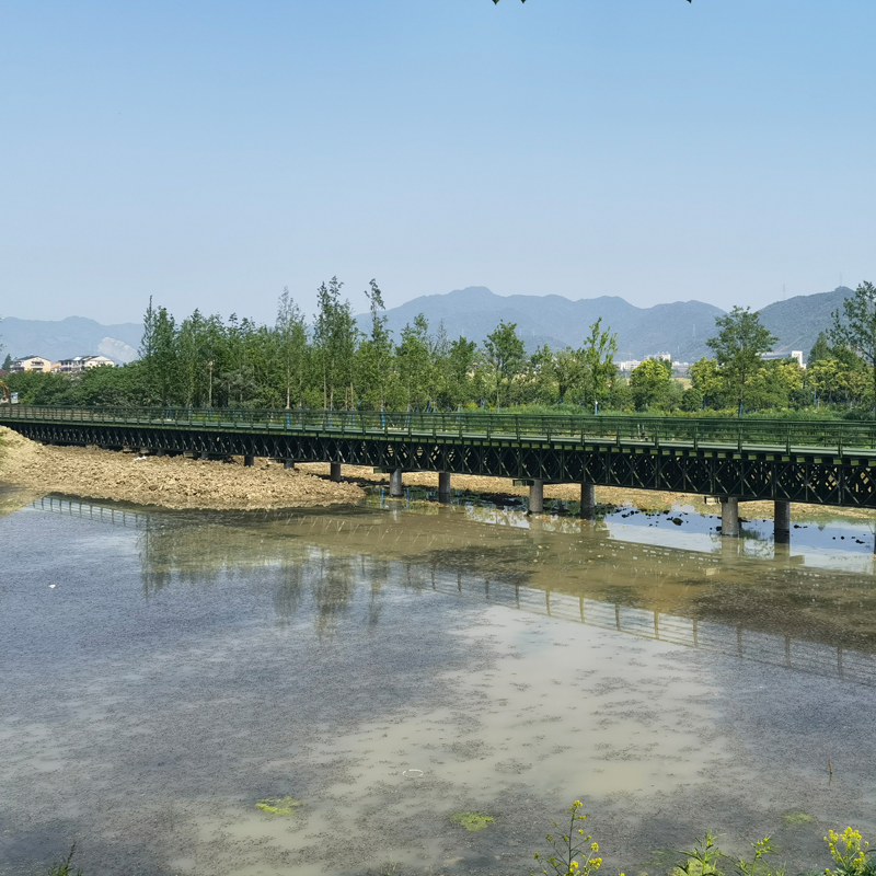Pedestrian Bailey Steel Structure Bridge for Emergency Purpose Prefabricated Modern Design