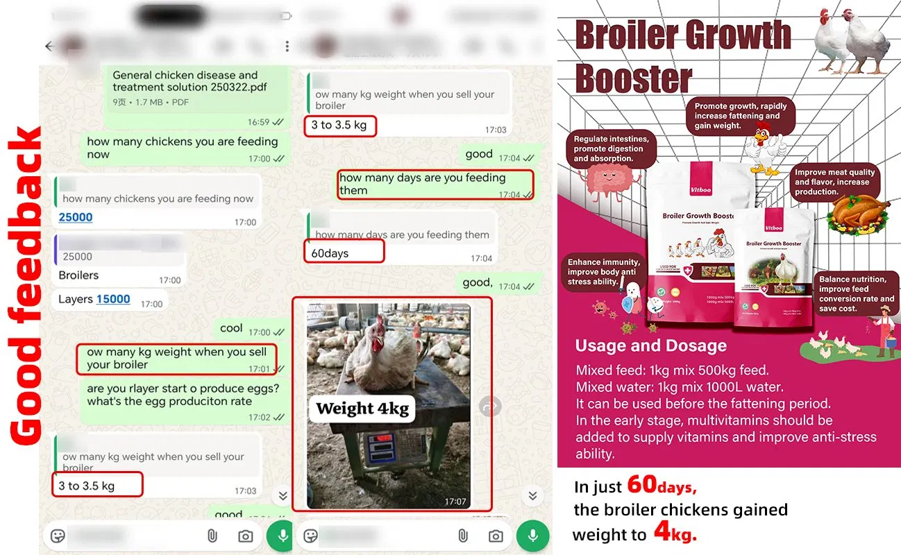 Vitboo Biomenthe Oral Solution 1L Control of Respiratory Tract Infections for Poultry Medicine