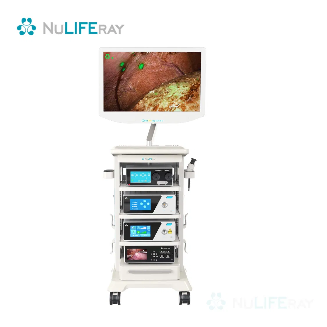 Advanced Digital Endoscopic Fluorescent Imaging System with Dual Light Source Accessories