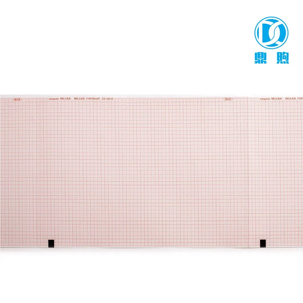 ECG Chart Paper Display 5