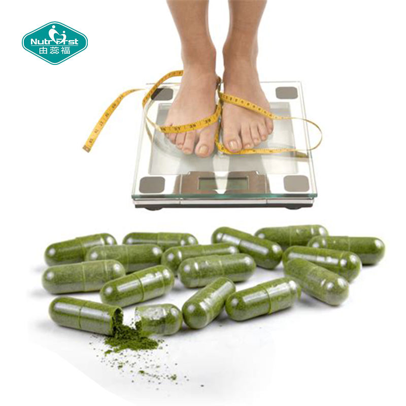 Weight Loss Products Diet Slim Herb Extract Moringa Oleifera Leaf Extract Capsules Organic Herbal Supplement