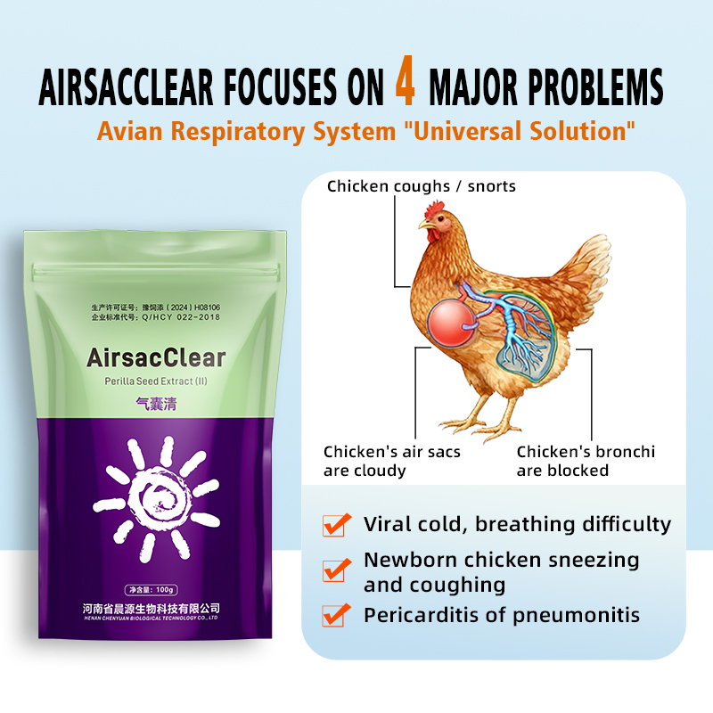 Poultry Respiratory Agent Airsacclear - Viral/Bacterial Airsacculitis Control for Chicken