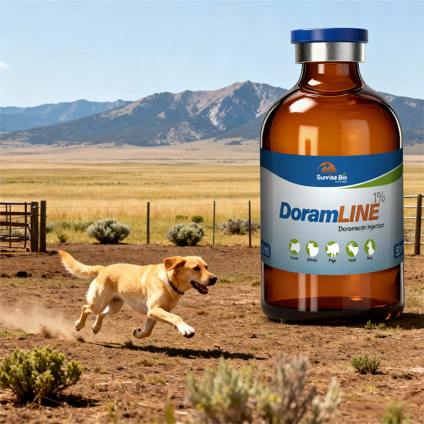Long Acting Doramectin Injection Single Dose Parasite Control for Animals