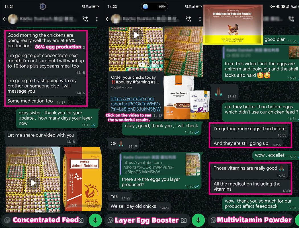 Vitboo Biomenthe Oral Solution 1L Control of Respiratory Tract Infections for Poultry Medicine