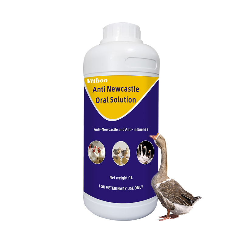 Wholesale Factory Anti-Newcastle Oral Solution Chinese Herbs Prevention and Control of Poultry Newcastel Disease