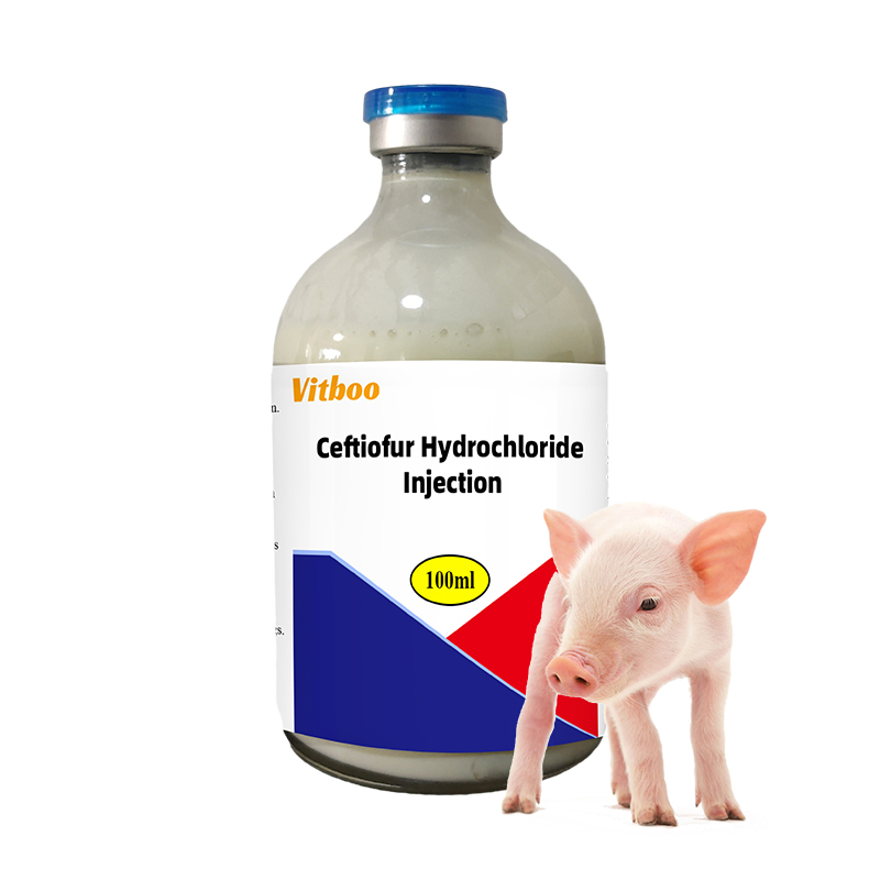 Vitboo Veterinary Medicine Ceftiofur Hydrochloride Injection Control of Control of Swine Bacterial Respiratory Disease