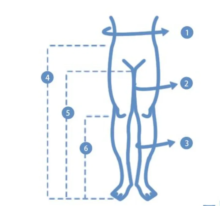 Brace Specification Chart