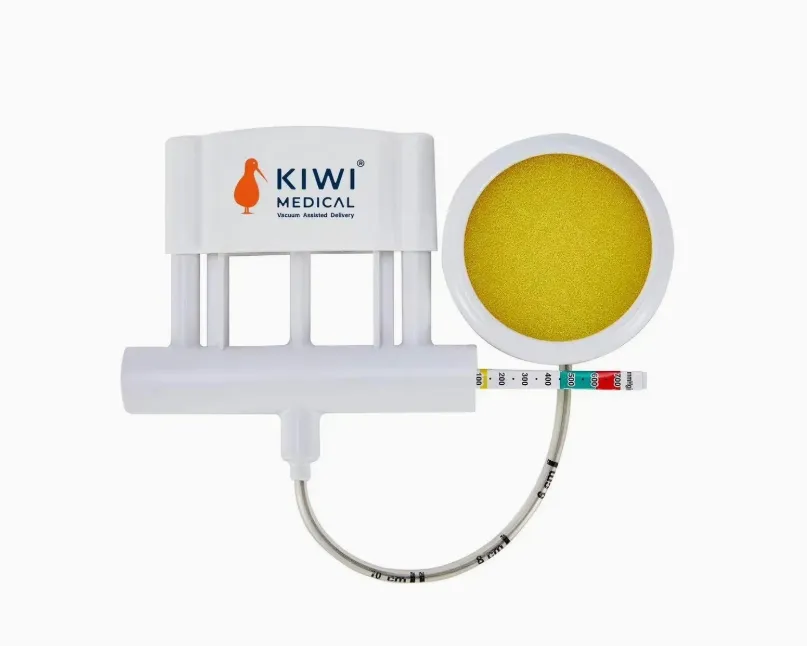 Vacuum Delivery System