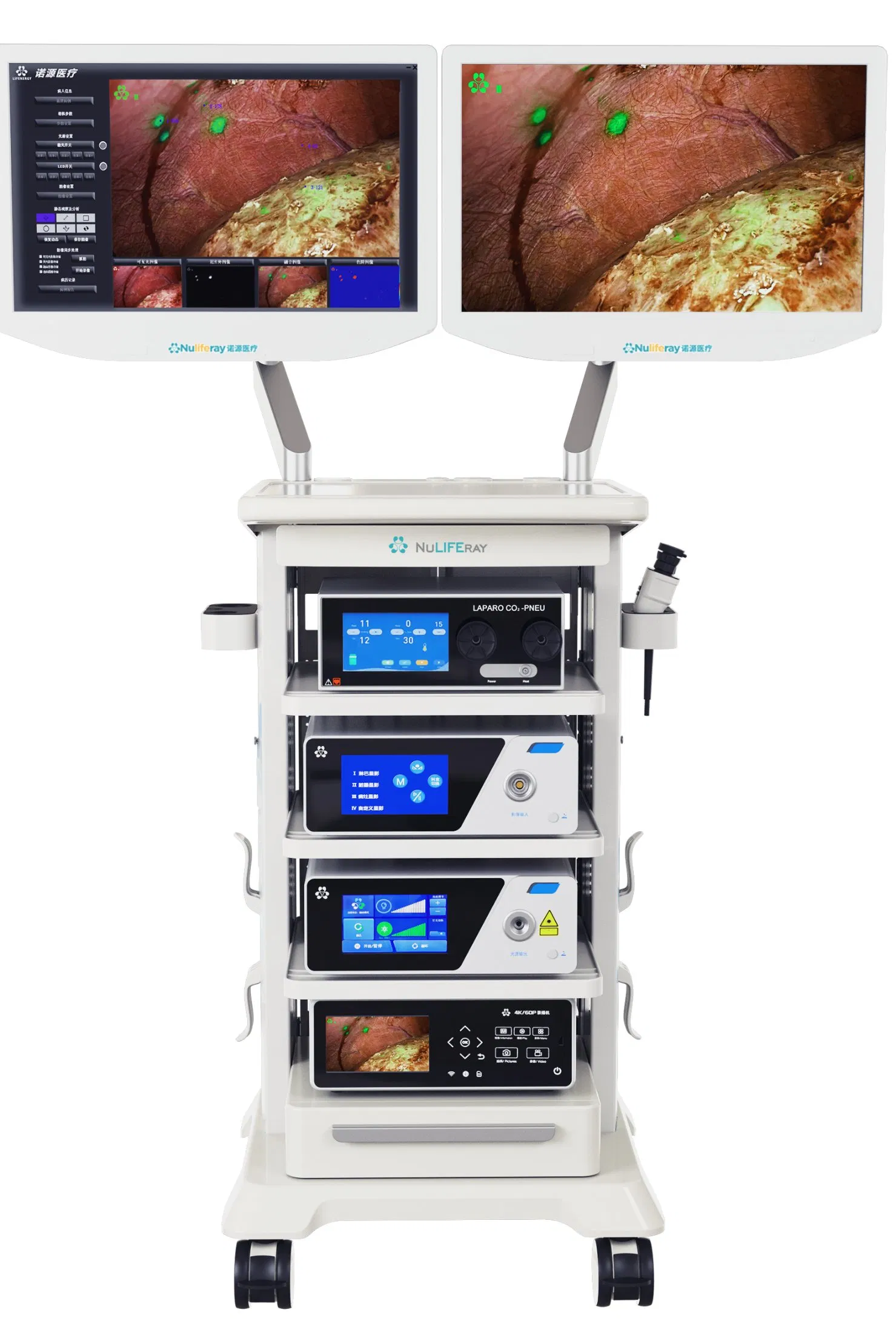 Advanced Digital Endoscopic Fluorescent Imaging System with Dual Light Source Accessories