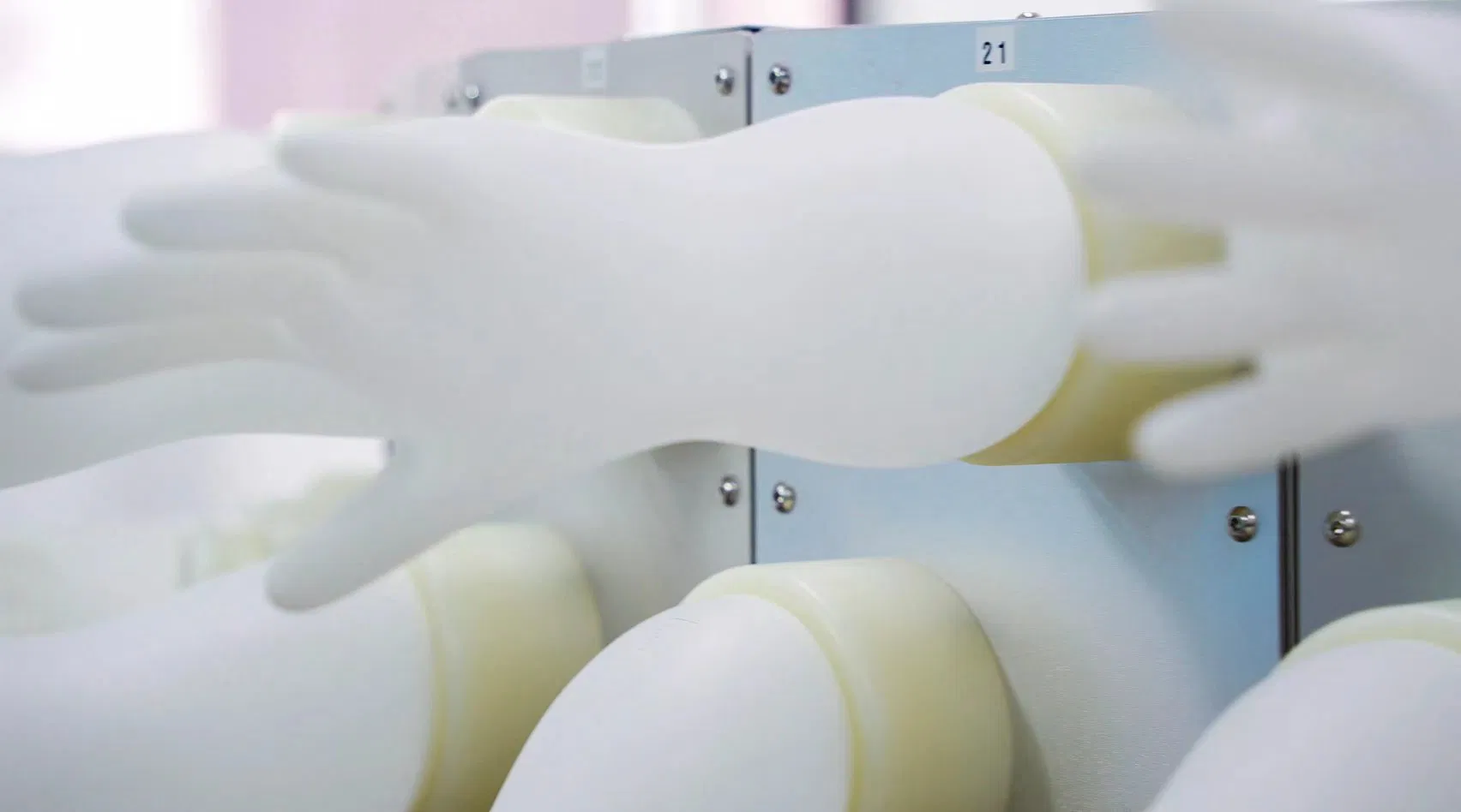 18 Inches (>400mm) Disposable Latex Gynecological / Obstetric Gloves /Elbow Length Powder or Powder Free