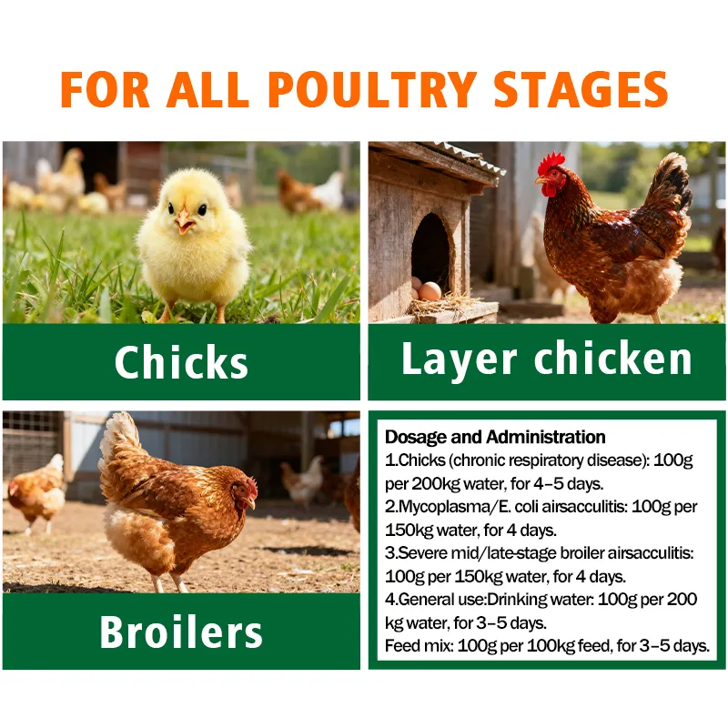 Airsacclear Display 3