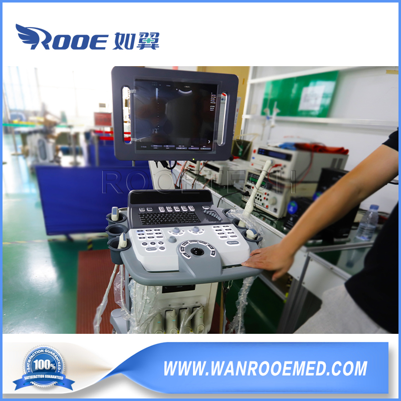 Gynaecology and Obstetrics Digital Color Doppler Ultrasound Machine Scanner Trolley Optional 4D Probe