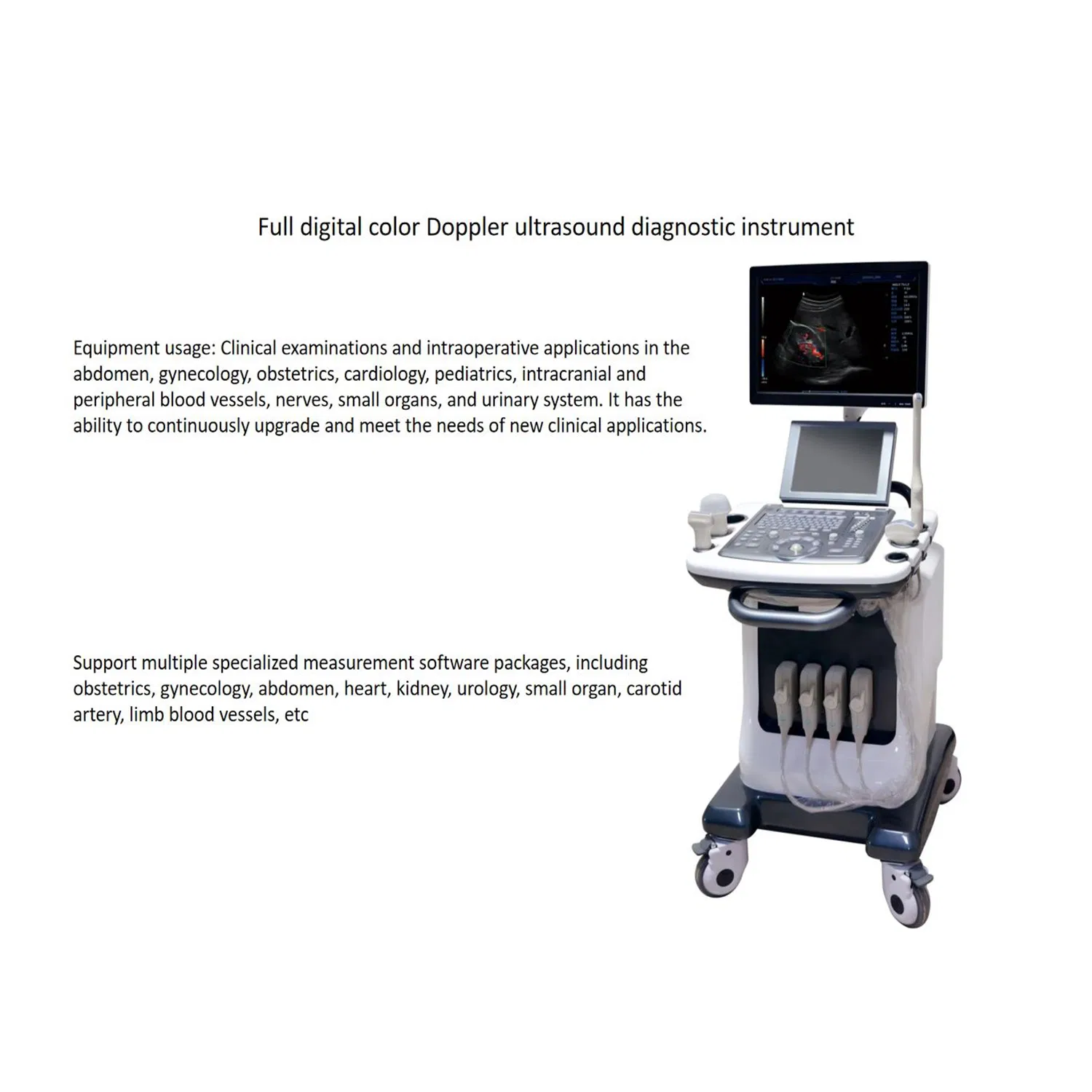 Color Doppler Medical Mobile Handheld Ultrasound B Ultrasound Scanner Diagnostic System High Resolution Imaging for Obstetric Examinations Veterinary