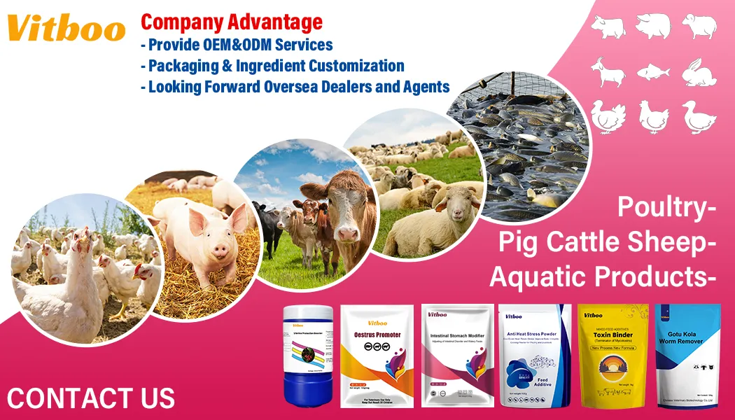 Anti-Newcastle Oral Solution