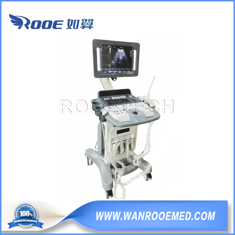 Gynaecology and Obstetrics Digital Color Doppler Ultrasound Machine Scanner Trolley Optional 4D Probe