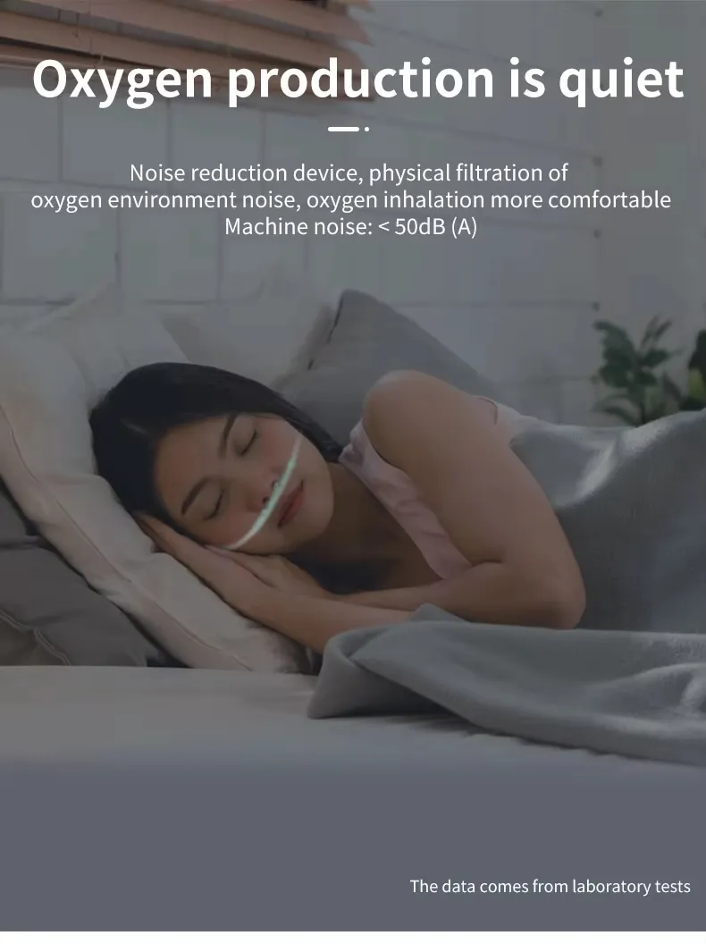 Hydrogen-Oxygen Generator Overview