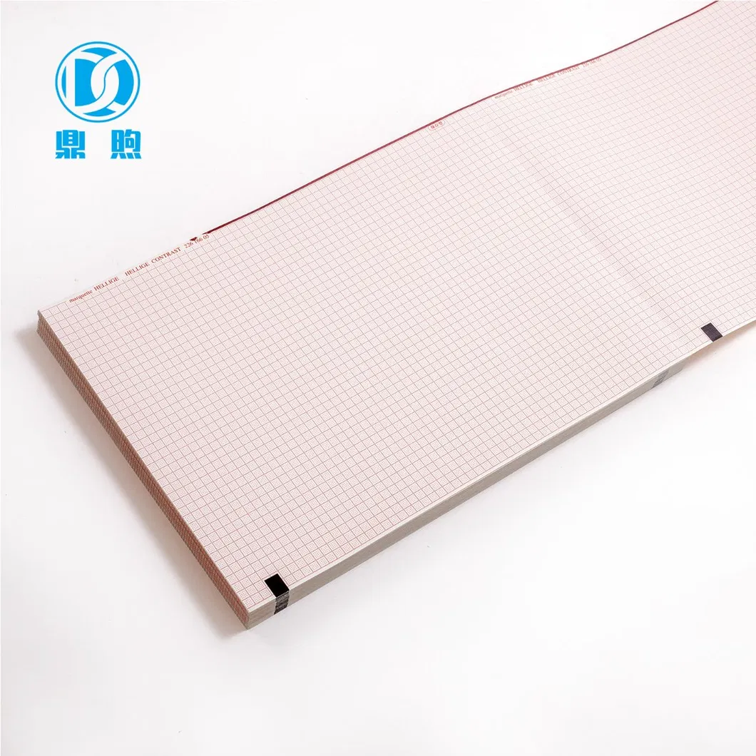 ECG Chart Paper Display 6