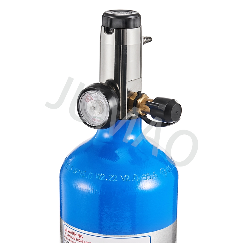 Home Oxygen Therapy System for Continuous Comfort and Care