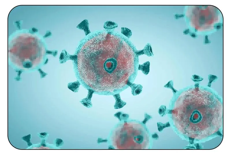 Medical Adjuvant Treatment