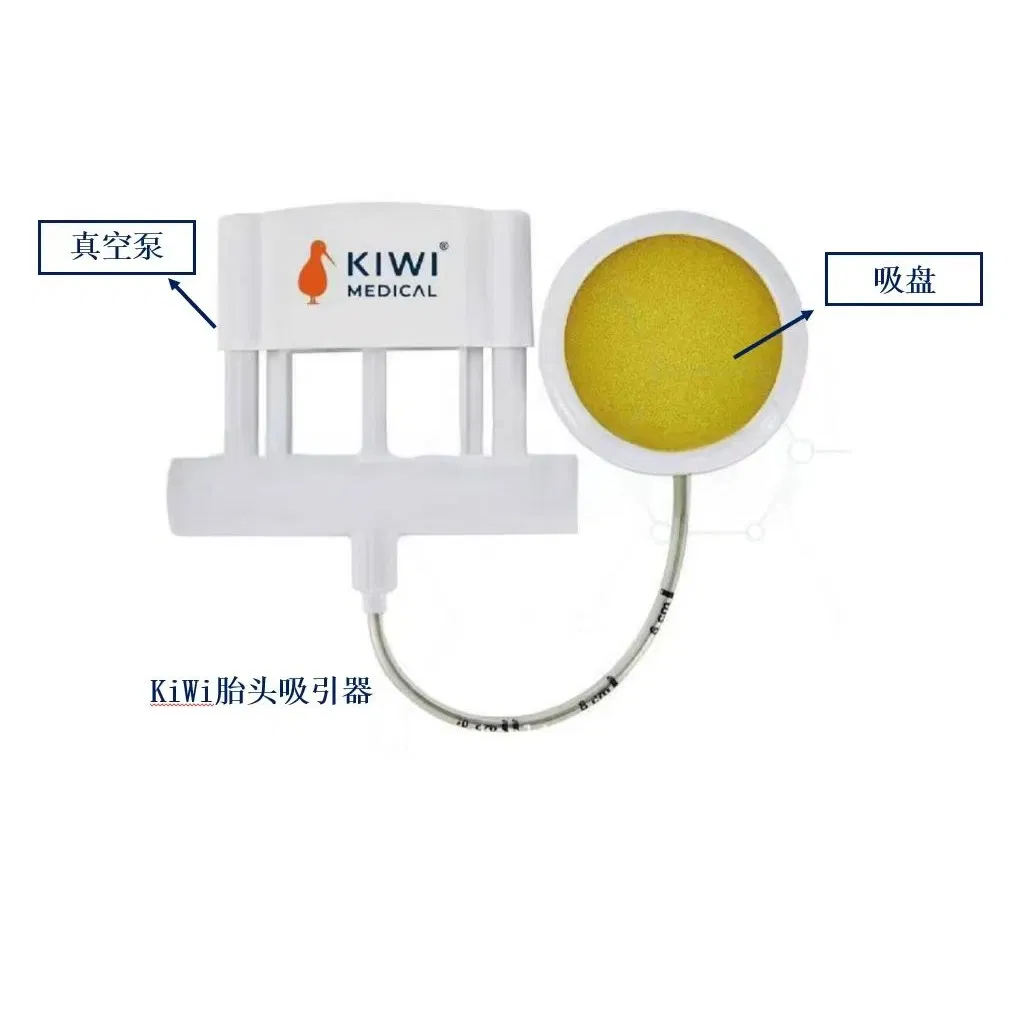 Wholesale Obstetric Suction Cup for Obstetrics and Gynecology Vacuum Delivery System