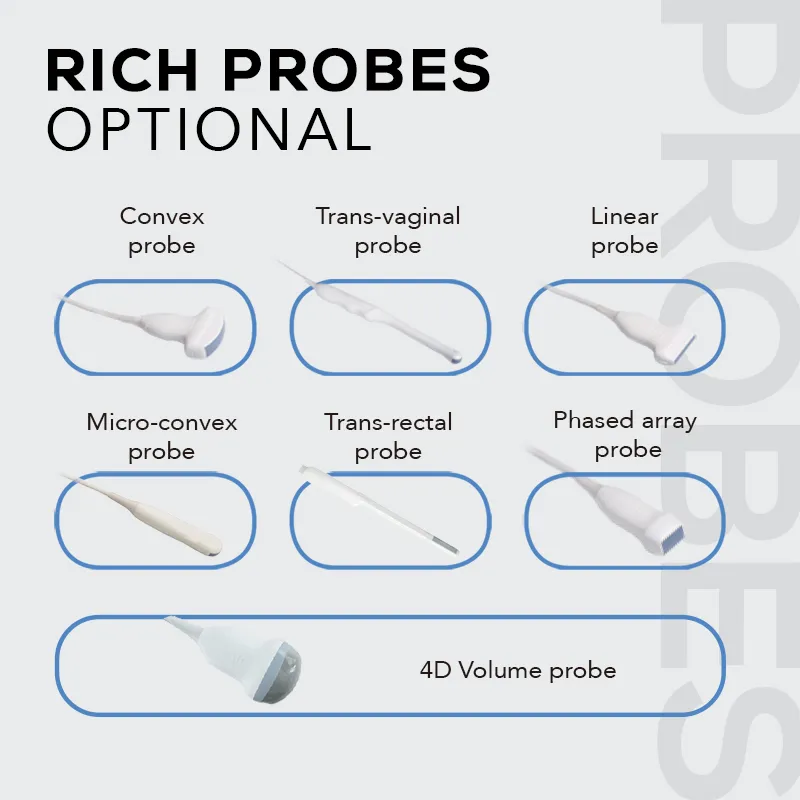 Ultrasound Probes Display