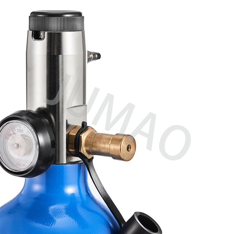 Home Oxygen Therapy System for Continuous Comfort and Care