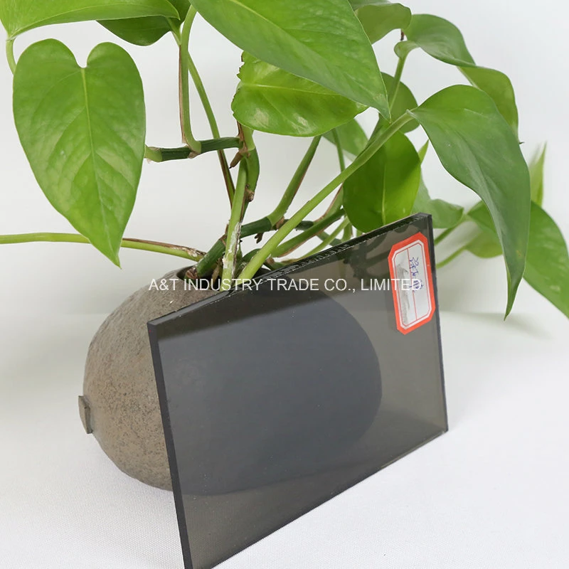 4mm, 5mm, 6mm Reflective Glass/Tinted Glass/Coated Glass Used for Building