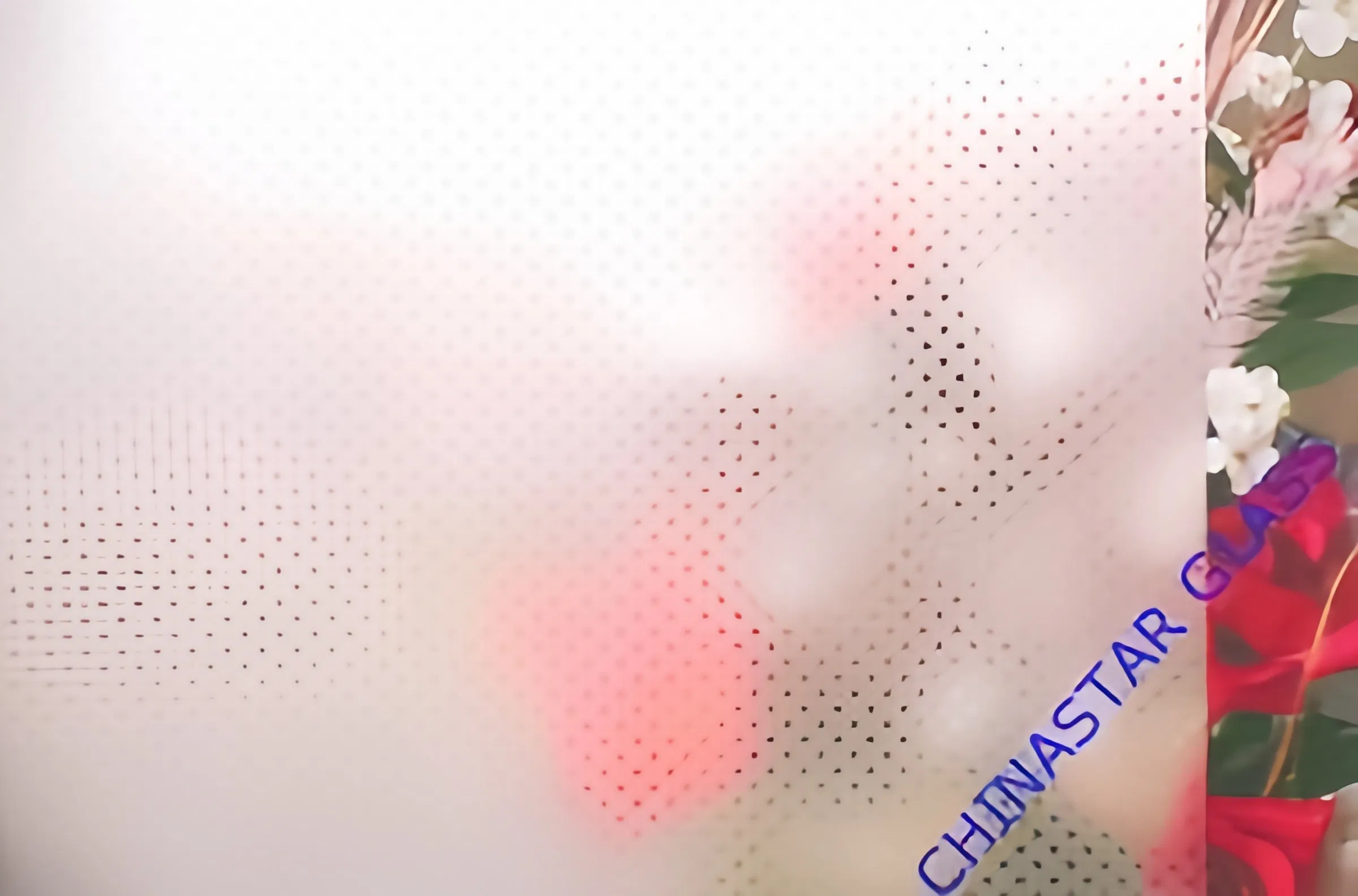 10mm Acid Etched Glass for Decoration/Construction/Bathroom/Commercial Building