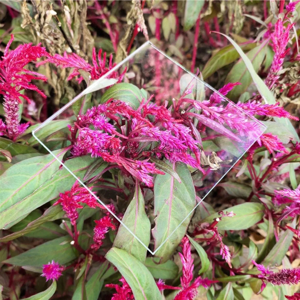 Tempered/Toughened Anti Reflective Coating/AG/Ar/Af/Lens/ Silkscreen/UV/ Glass for Smart Switch Watch/Touch Screen/LCD Display/Computer/Laptop/TV Screen