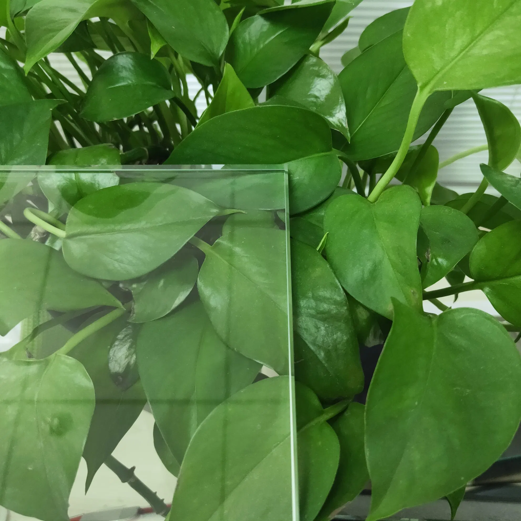 4mm Dark Green Curved Tempered Glass for Building Glass