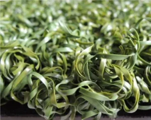 Buy Synthetic Turf for Baseball Surface Products, Suppliers