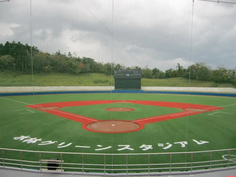 High Quality Baseball Turf5
